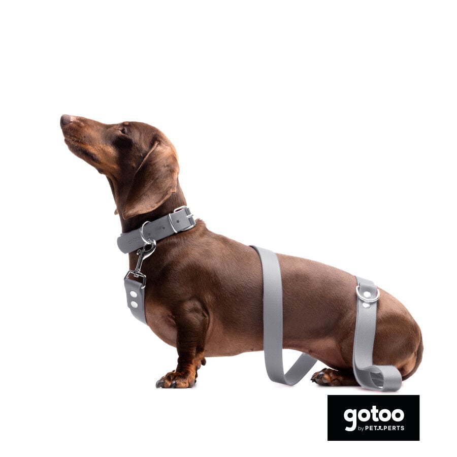 Gotoo Collar Biothane gris para perros, , large Imagen numero 5