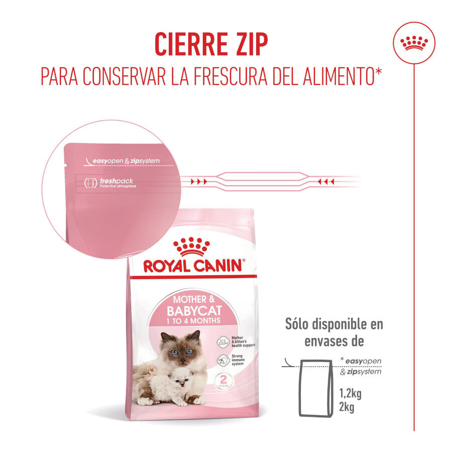 4 kg Royal Canin Mother & Babycat pienso para gatos, , large Imagen numero 11