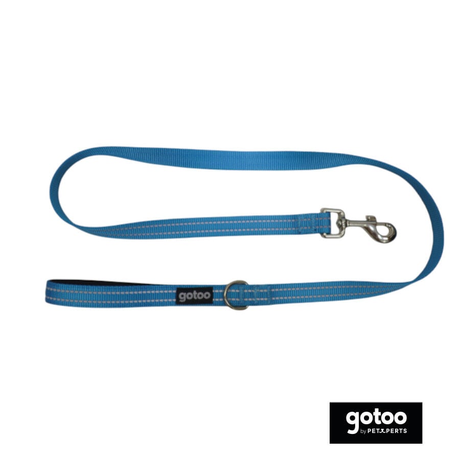 Gotoo Correa de nylon reflectante azul para perros, , large Imagen numero 2