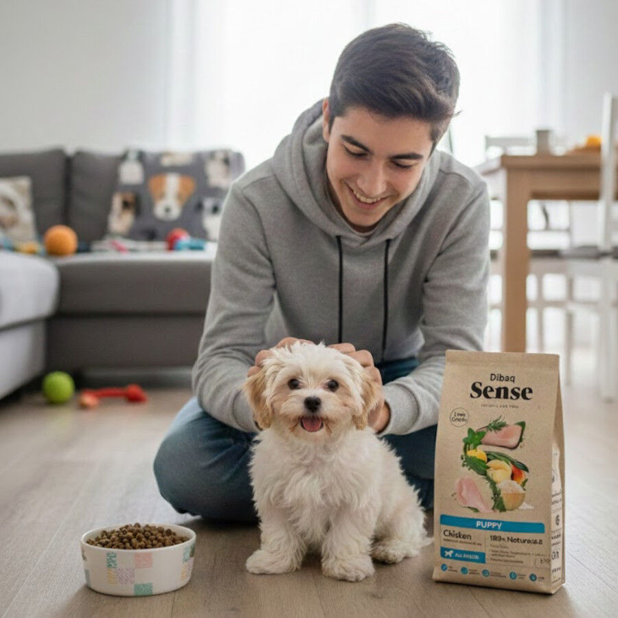 12 kg Dibaq Sense Low Grain Puppy Pollo Pienso para perros, , large indicador imagen numero 3