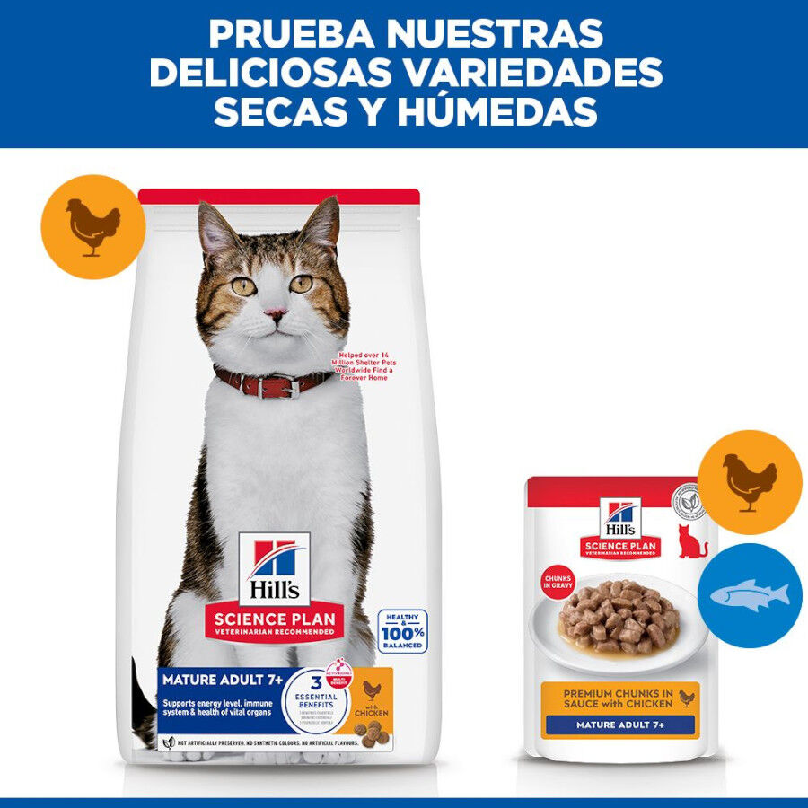 10 kg Hill's Science Plan Mature Adult 7+ Pollo pienso para gatos, , large Imagen numero 7