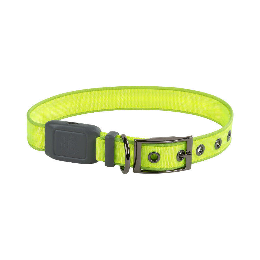 Nite Ize NiteDog Collar Led Recargable Verde para perros, , large Imagen numero 1