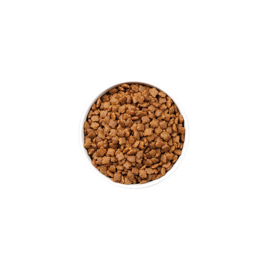 Ownat Ultra Mature Pienso Pollo y Pavo para gatos, , large indicador imagen numero 2