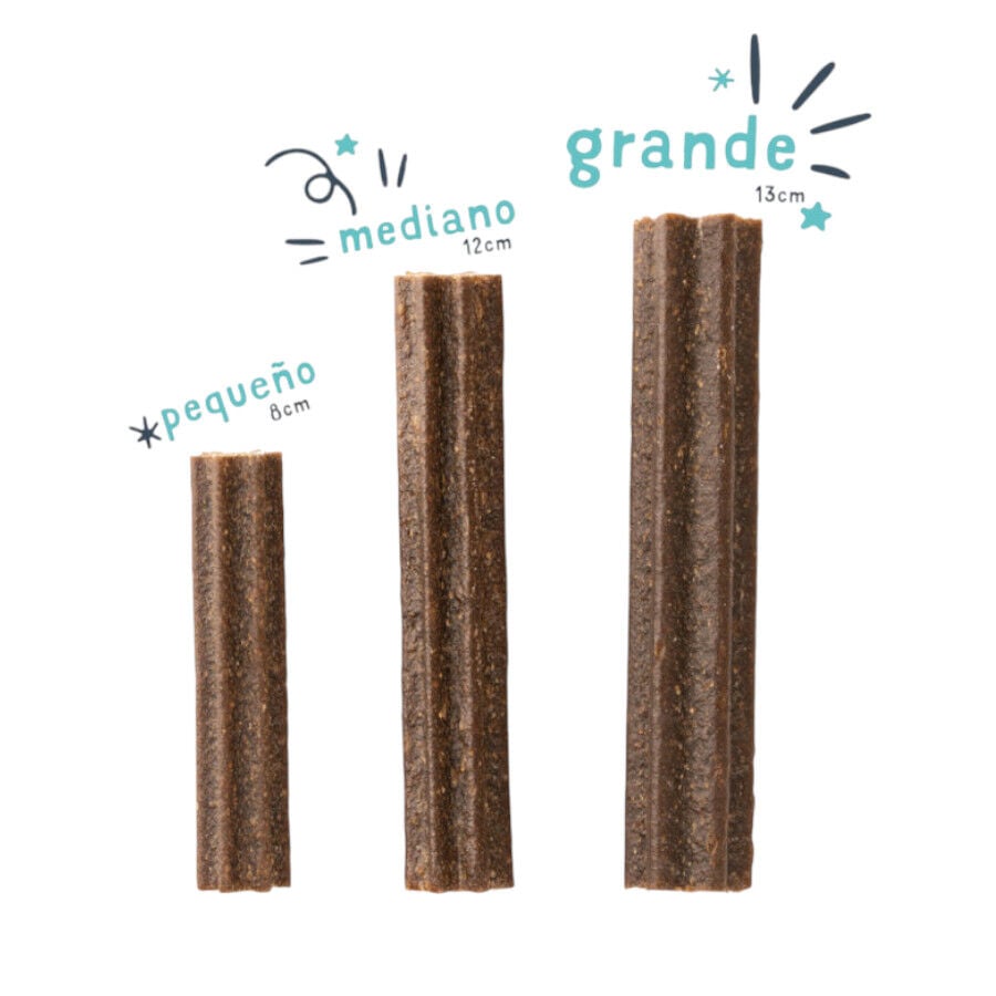 7 barritas Edgard & Cooper Barritas Dentales Manzana y eucalipto snack para perros grandes, , large indicador imagen numero 3