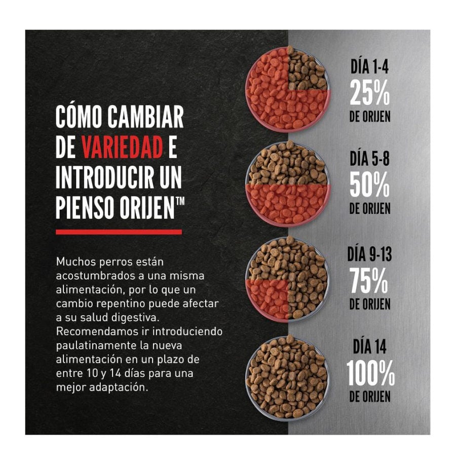 11 kg Orijen Puppy Large pienso para perros, , large indicador imagen numero 5