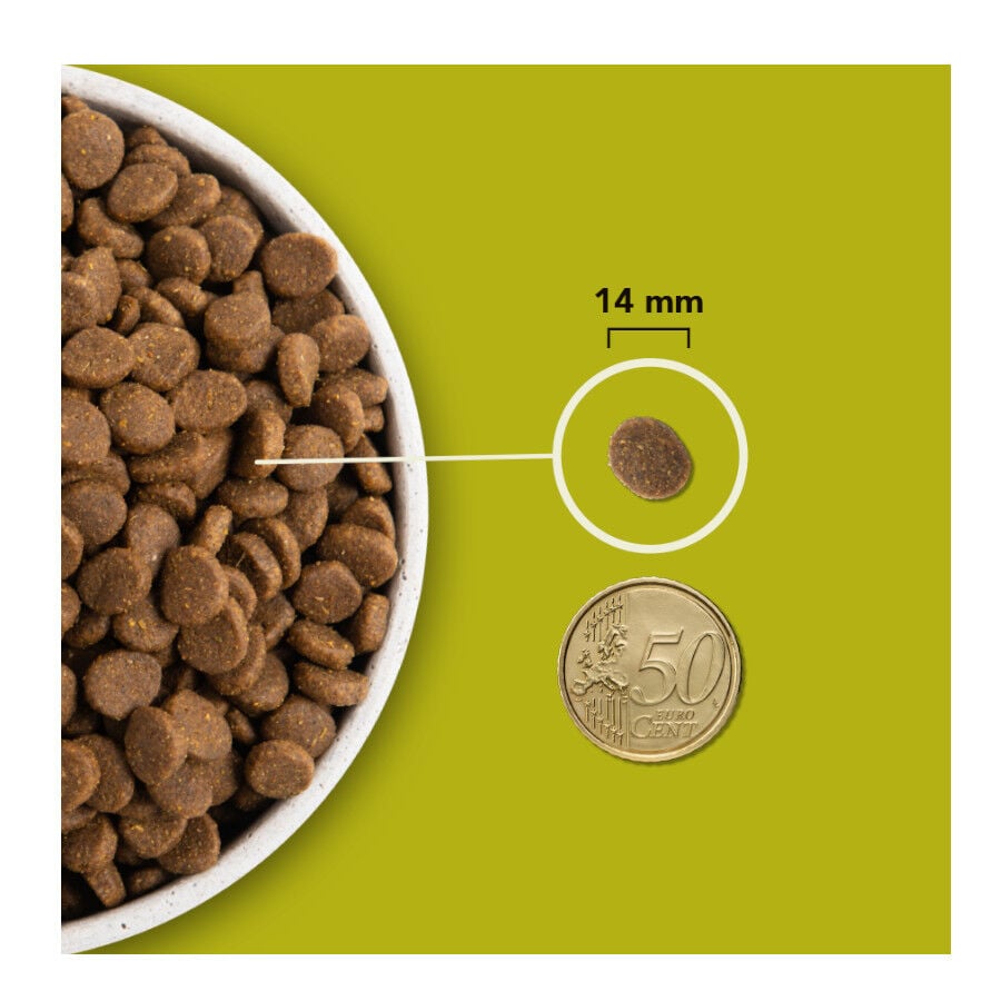 11.4 kg Acana Grasslands pienso para perros, , large Imagen numero 7