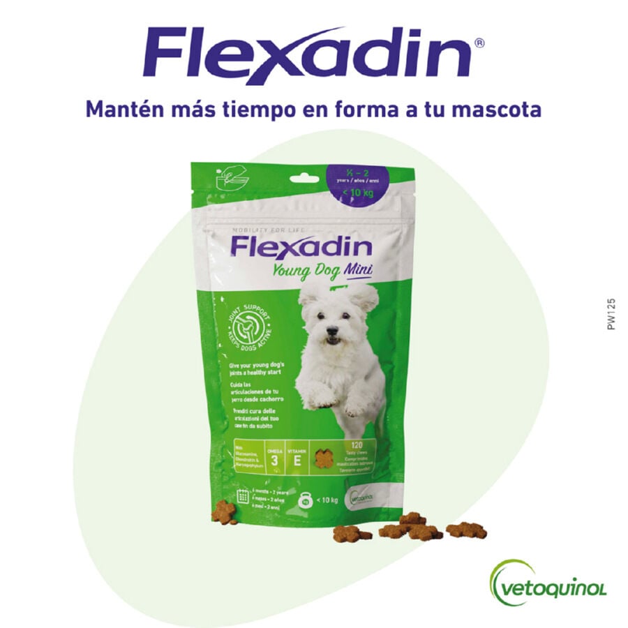 Vetoquinol Flexadin Young Mini Condroprotector para perros, , large Imagen numero 1