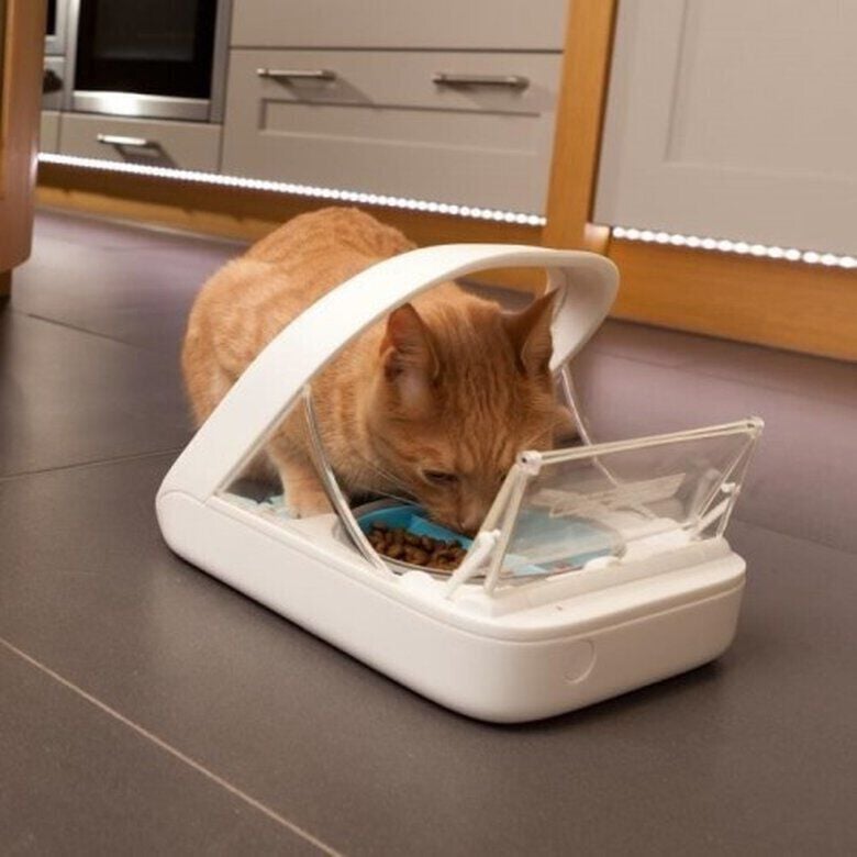 Sure Petcare Surefeed Comedero Autom&aacute;tico con Microchip, , large Imagen numero 3