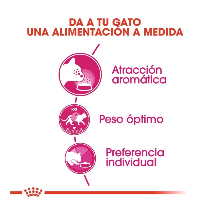 0.4 kg Royal Canin Adult Exigent Aroma pienso para gatos, , large Imagen numero 4