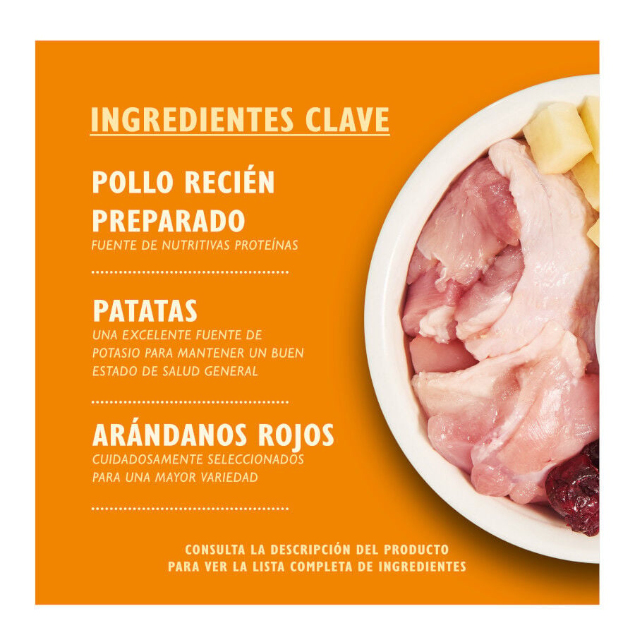 4 kg Lily's Kitchen Grain Free Pollo pienso para gatos, , large Imagen numero 2