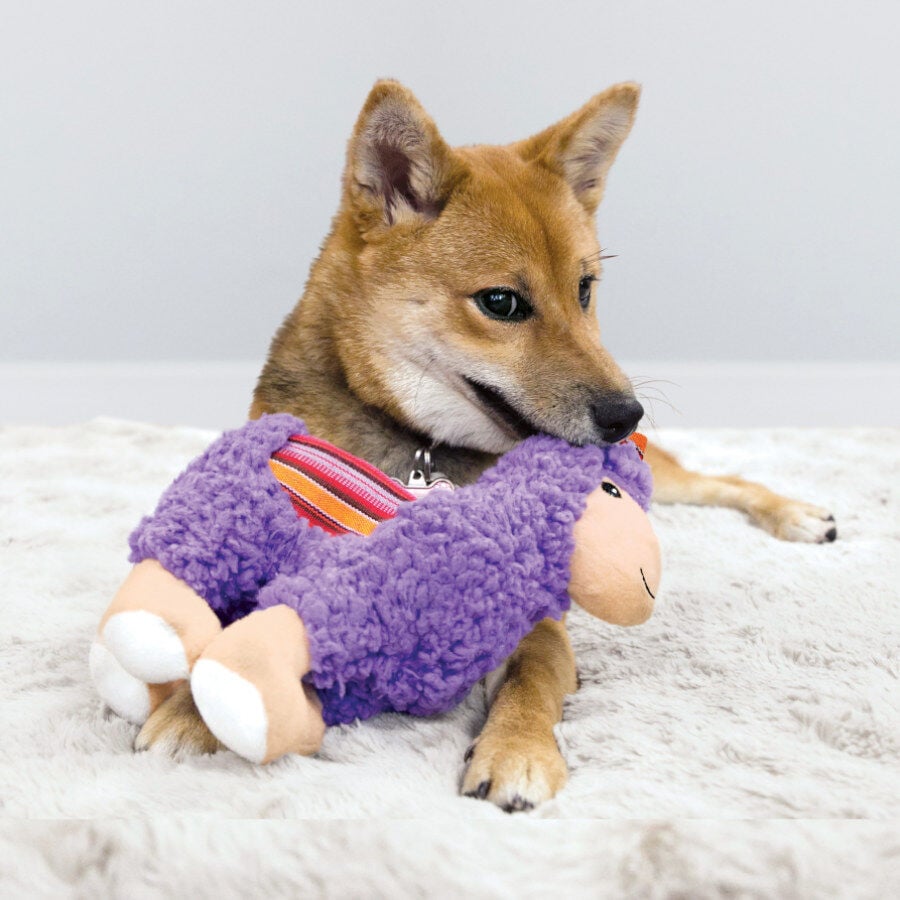 Kong Sherps Llama de peluche para perros, , large Imagen numero 2