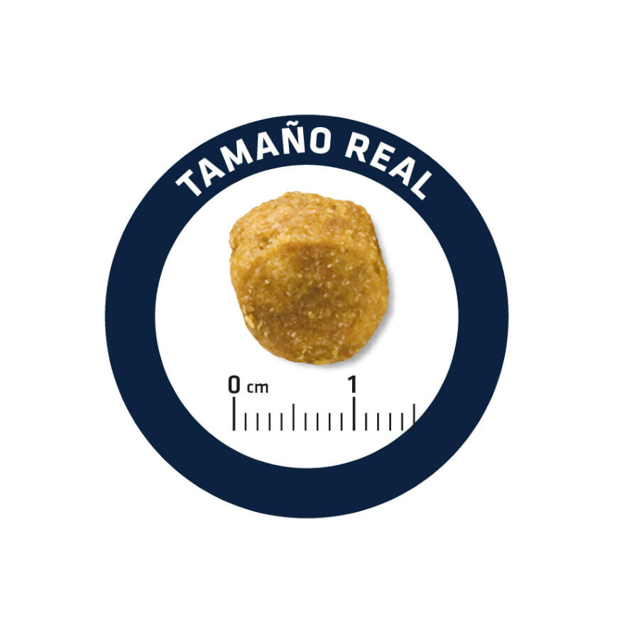 12 kg Advance Dog Leismaniasis Urinary Low Purine pienso para perros, , large Imagen numero 5