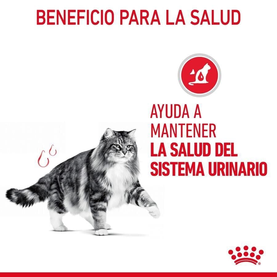 10 kg Royal Canin Urinary pienso para gatos, , large Imagen numero 6
