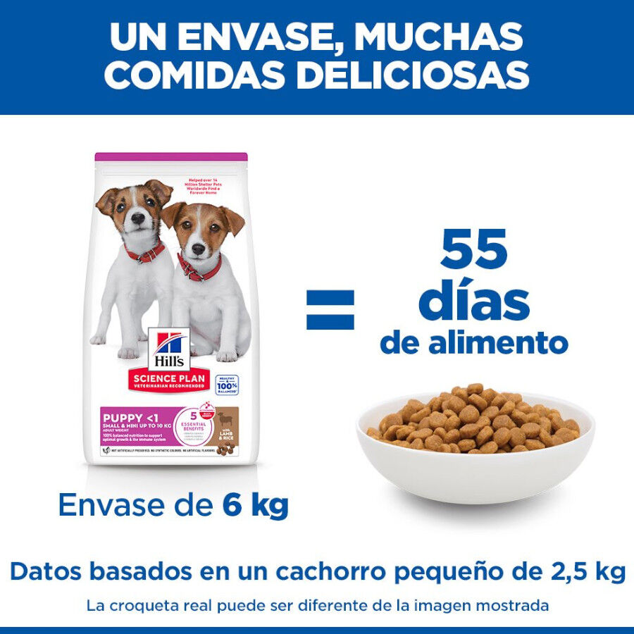 6 kg Hill's Science Plan Puppy Small y mini Cordero y arroz para perros, , large indicador imagen numero 6