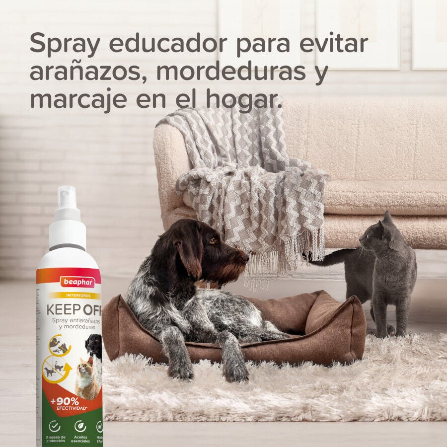Beaphar Spray Educador  Interiores para Perros y Gatos, , large Imagen numero 6