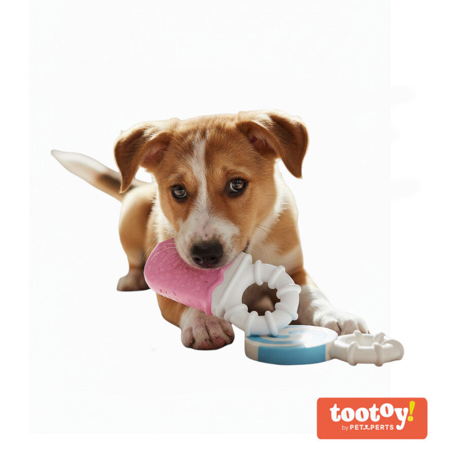 Tootoy! Pack de Mordedores Frios para cachorros, , large indicador imagen numero 10