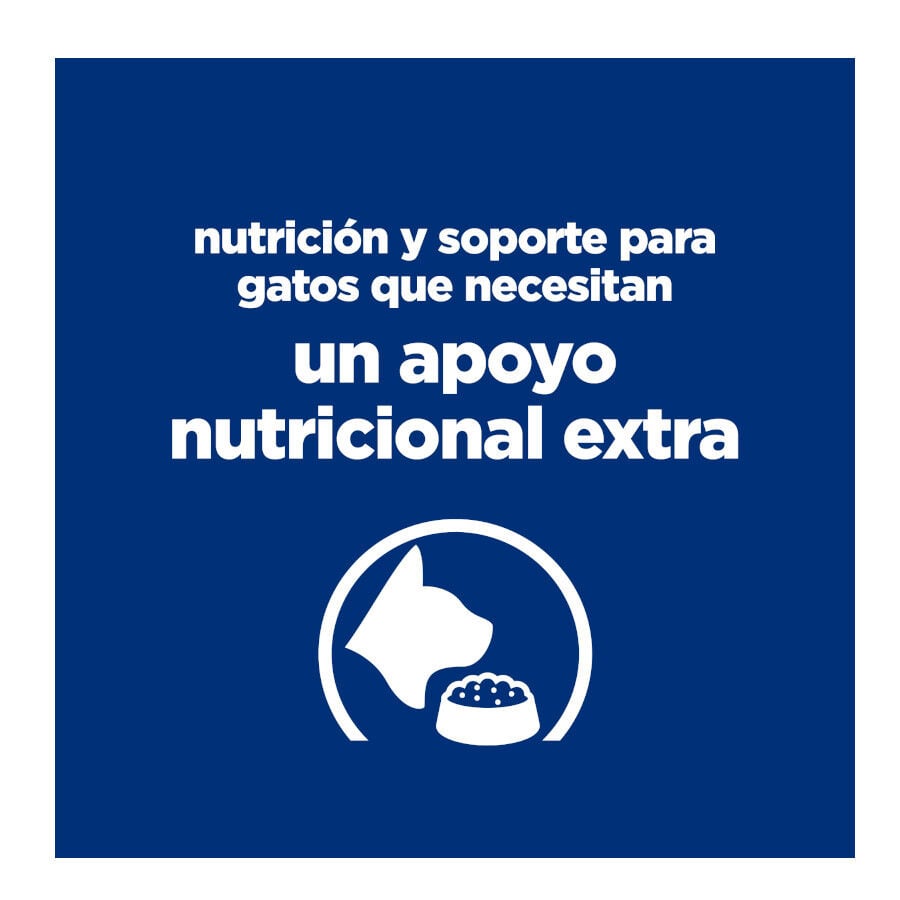 82 g Hill's Prescription Diet Feline Estofado con Pollo y Verduras para Gatos Adultos, , large indicador imagen numero 6