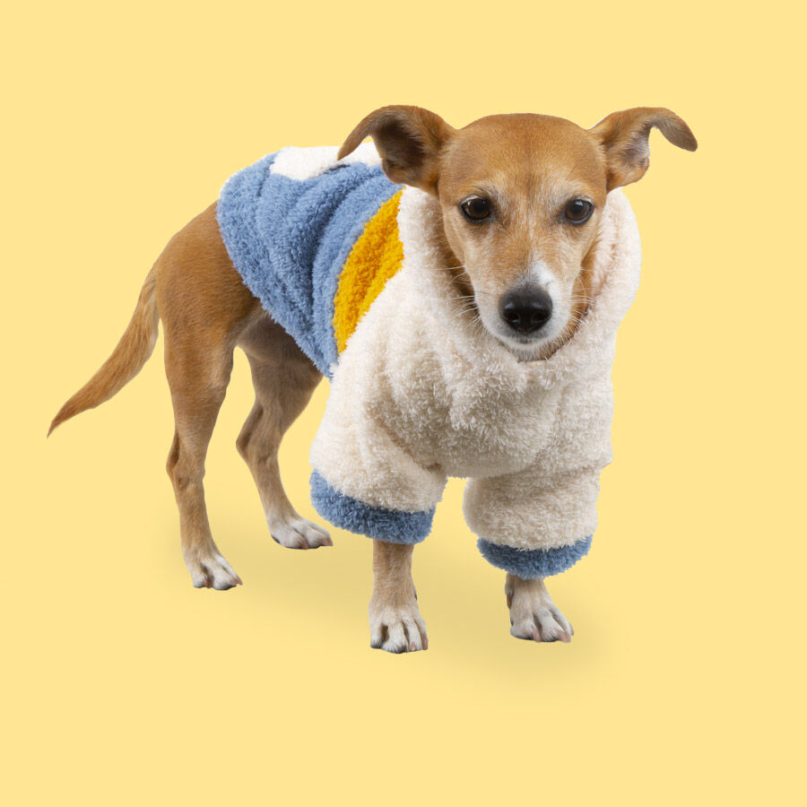 Outech Colorblock Pijama para perros, , large indicador imagen numero 3
