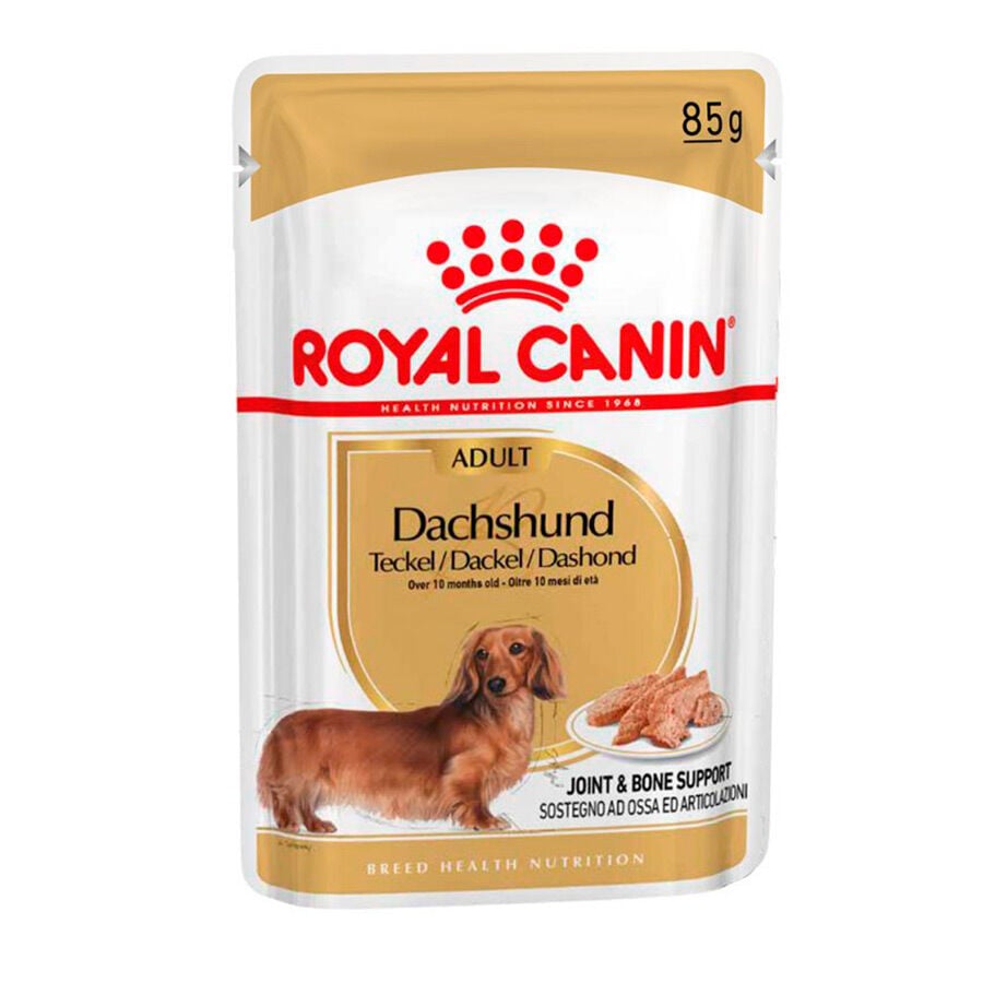 85 g Royal Canin Adult Teckel pat&eacute; en sobre para perros, , large Imagen numero 1
