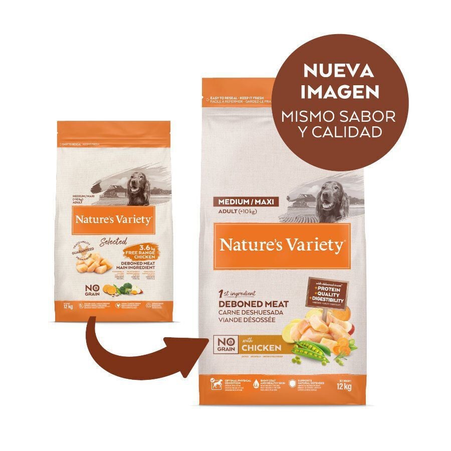 12 kg (10 + 2 kg &iexcl;gratis!) Nature's Variety No Grain Adult Medium Maxi Pollo pienso para perros, , large indicador imagen numero 2