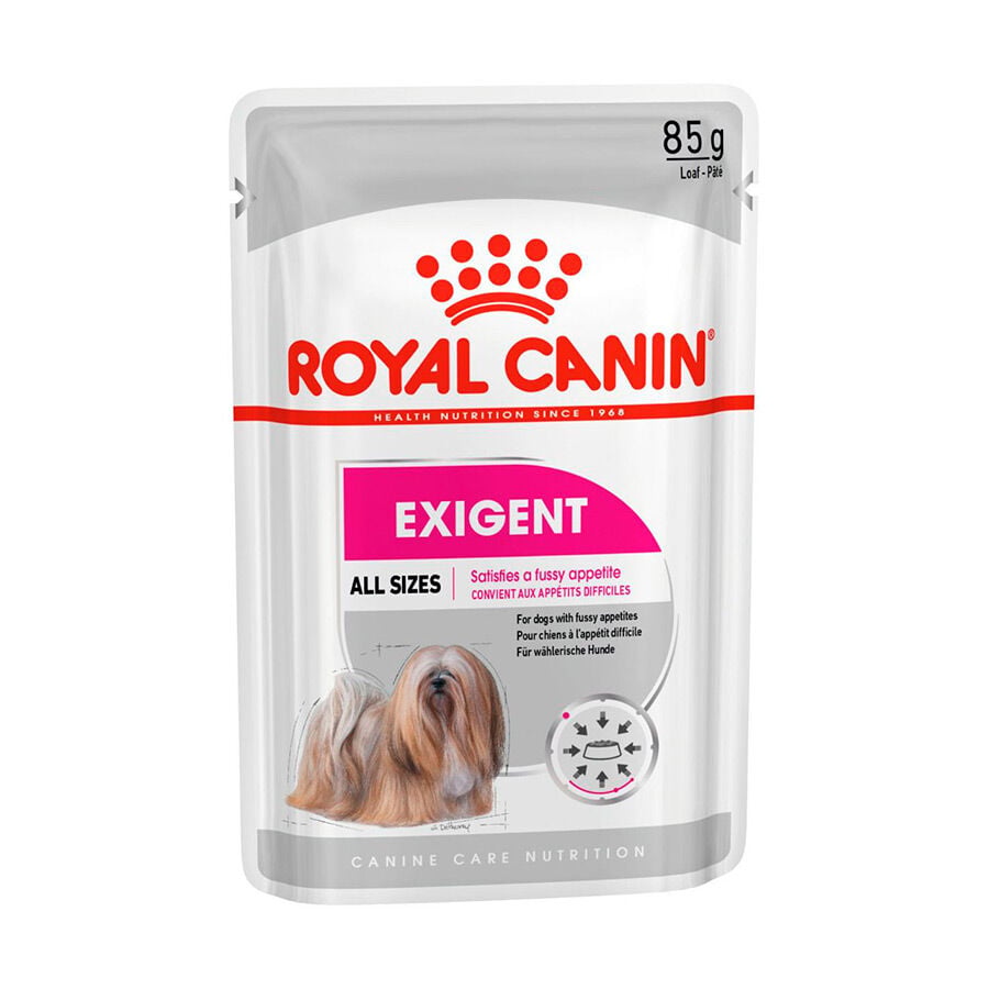 85 g Royal Canin Exigent pat&eacute; sobre para perros, , large indicador imagen numero 1