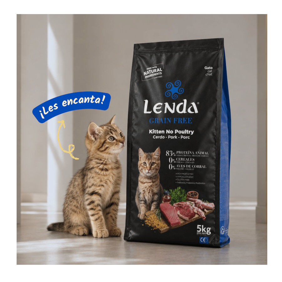 2 Kg Lenda Grain Free Conejo, Cerdo y At&uacute;n Kitten pienso para gatos, , large Imagen numero 5