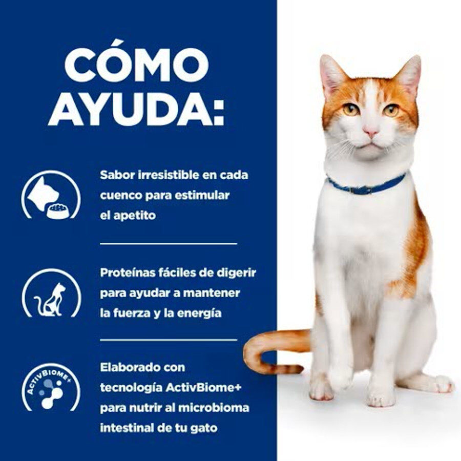1.5 kg Hill's Prescription Diet ON-Care Pollo pienso para gatos, , large Imagen numero 2