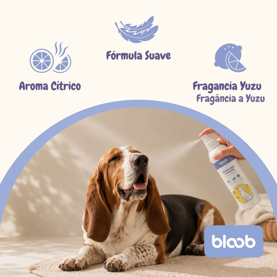 Bloob Colonia Refrescante Yuzu para perros, , large indicador imagen numero 3