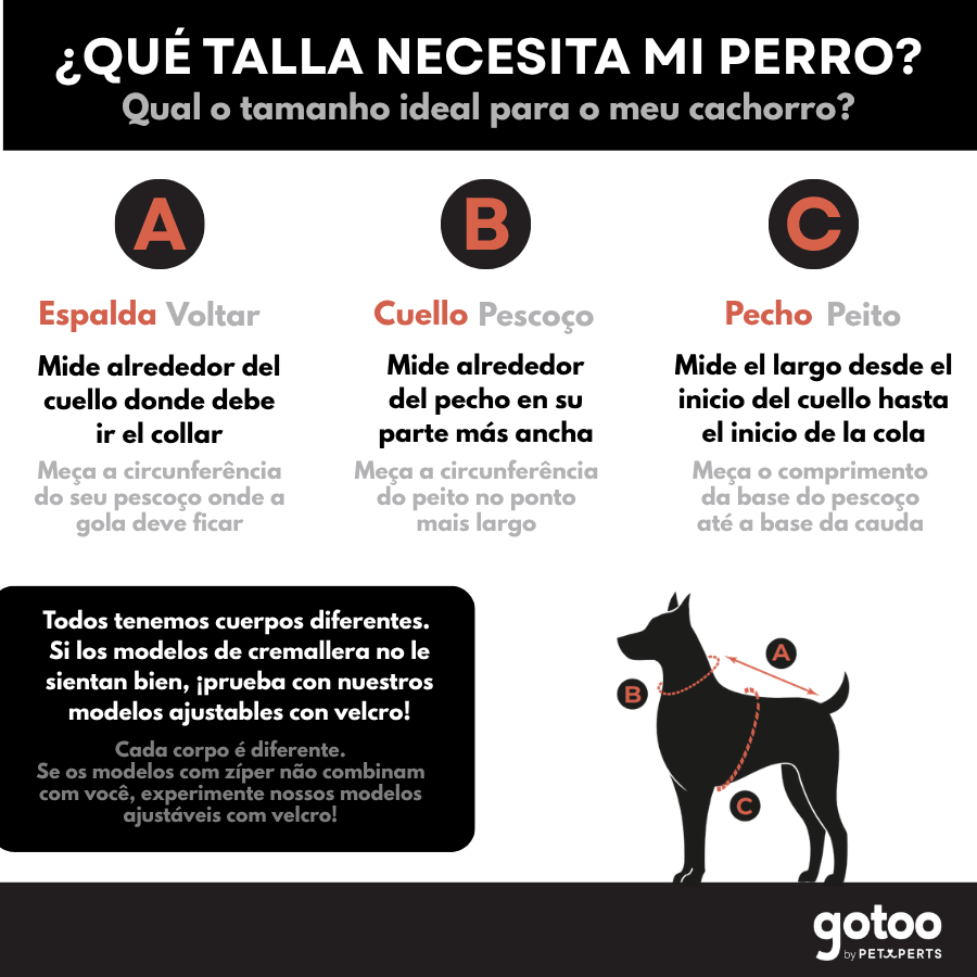 Gotoo Chaqueta Impermeable con Arn&eacute;s para perros, , large Imagen numero 8