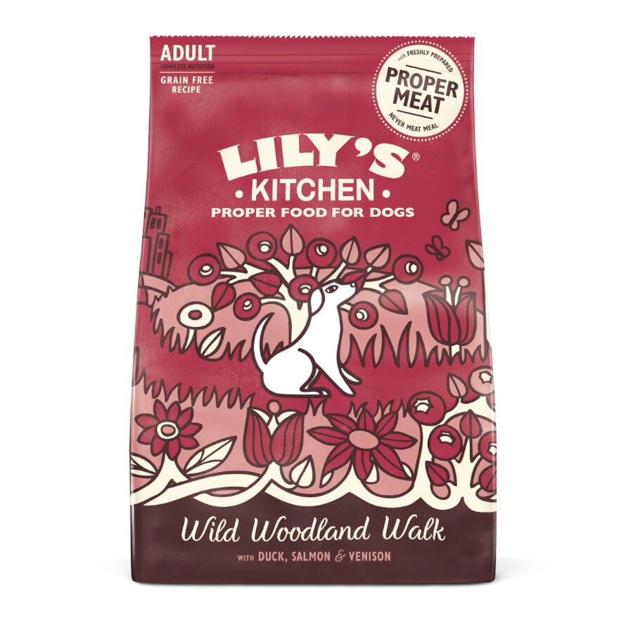 Lily's Kitchen Adult Pato, Salm&oacute;n y Ciervo pienso para perros