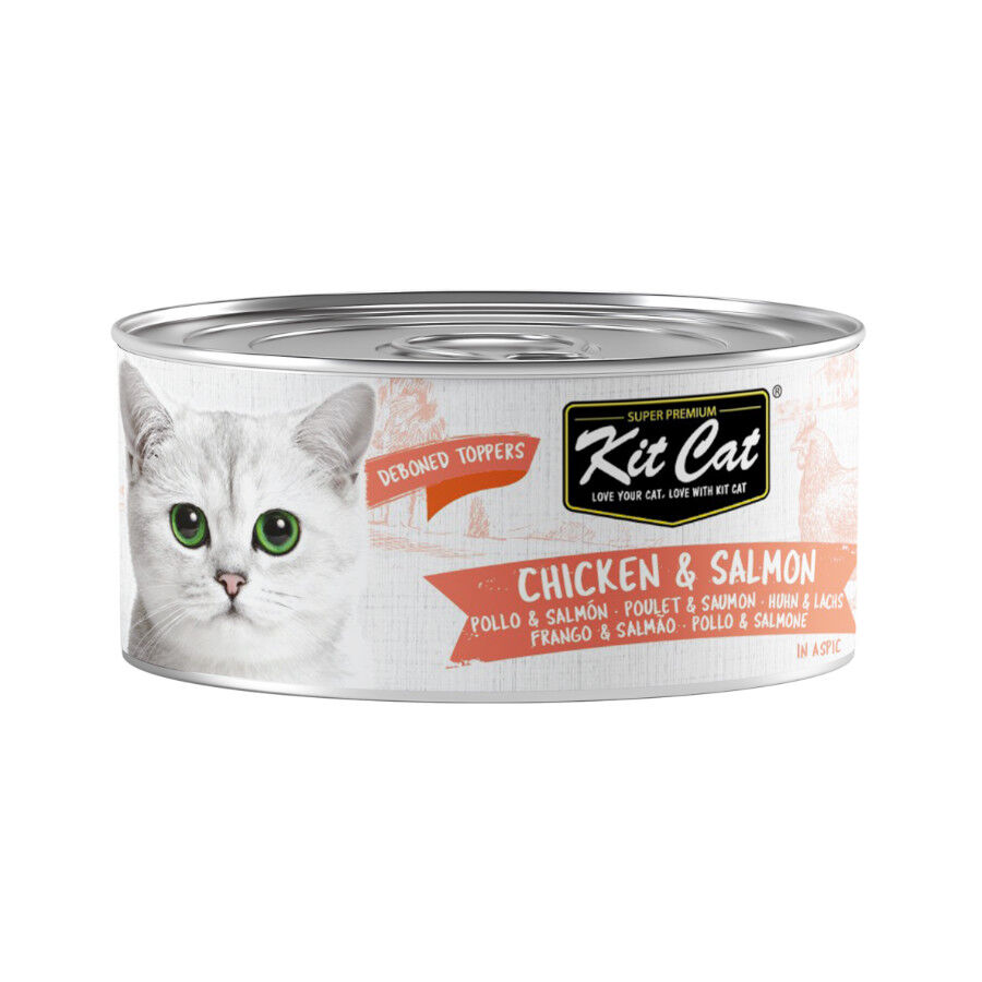 80 g Kit Cat Pollo y Salm&oacute;n Gelatina Lata para gatos, , large Imagen numero 1