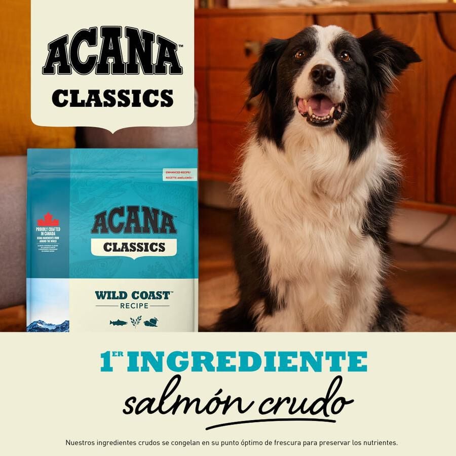 14.5 kg Acana Classics Wild Coast Pescado pienso para perros, , large Imagen numero 2