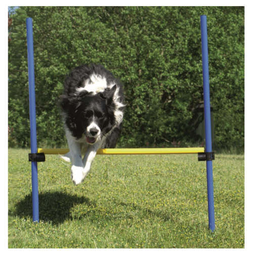 Ribecan valla de salto agility para perros Imagen numero 1