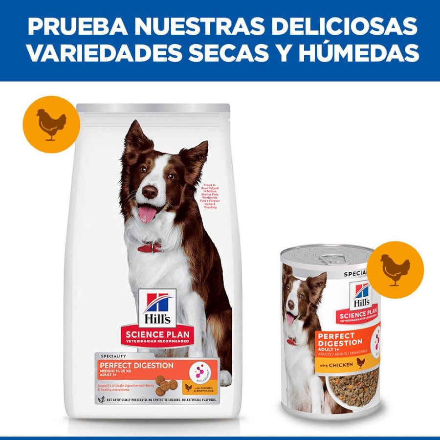 14 kg Hill's Science Plan Perfect Digestion Adult Medium Pollo pienso para perros, , large indicador imagen numero 7