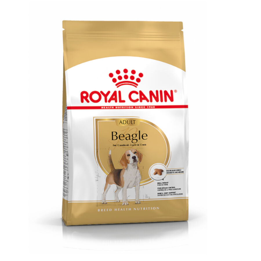 3 kg Royal Canin Adult Beagle pienso para perros, , large Imagen numero 1