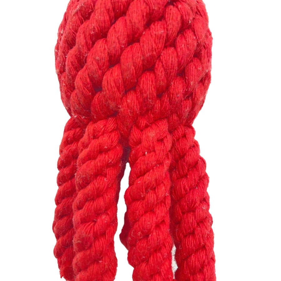 Tootoy! Comfort Octopus & Sea juguete de cuerda para perros, , large indicador imagen numero 3