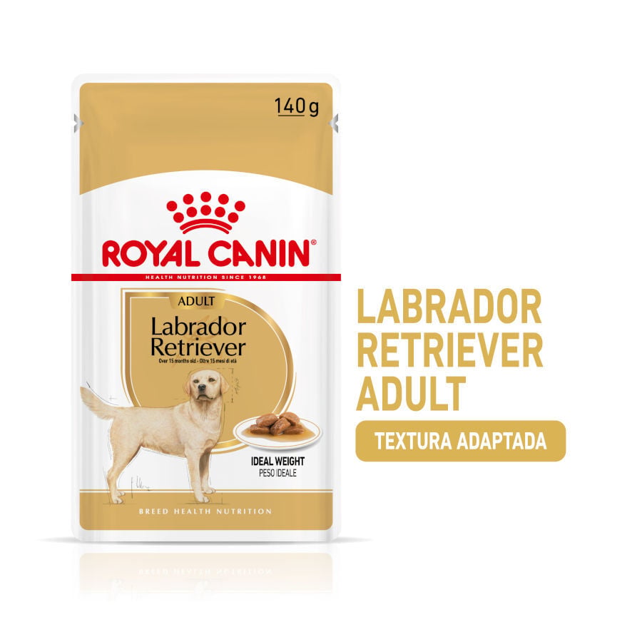 140 g Royal Canin Labrador Sobres para perros, , large indicador imagen numero 2