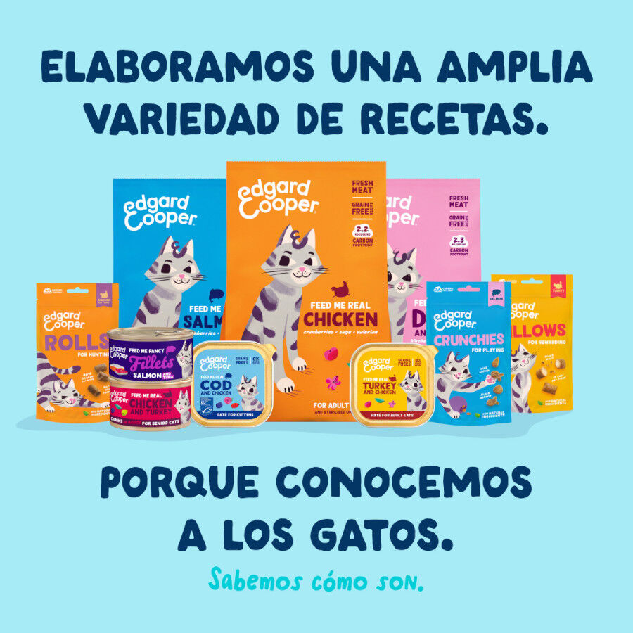 70 g Edgard & Cooper Filetes de At&uacute;n y Calamar lata para gatos, , large indicador imagen numero 8