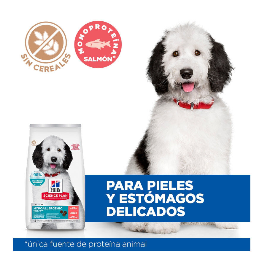 14 kg Hill's Science Plan Hipoalerg&eacute;nico Large Salm&oacute;n pienso para perros, , large indicador imagen numero 5