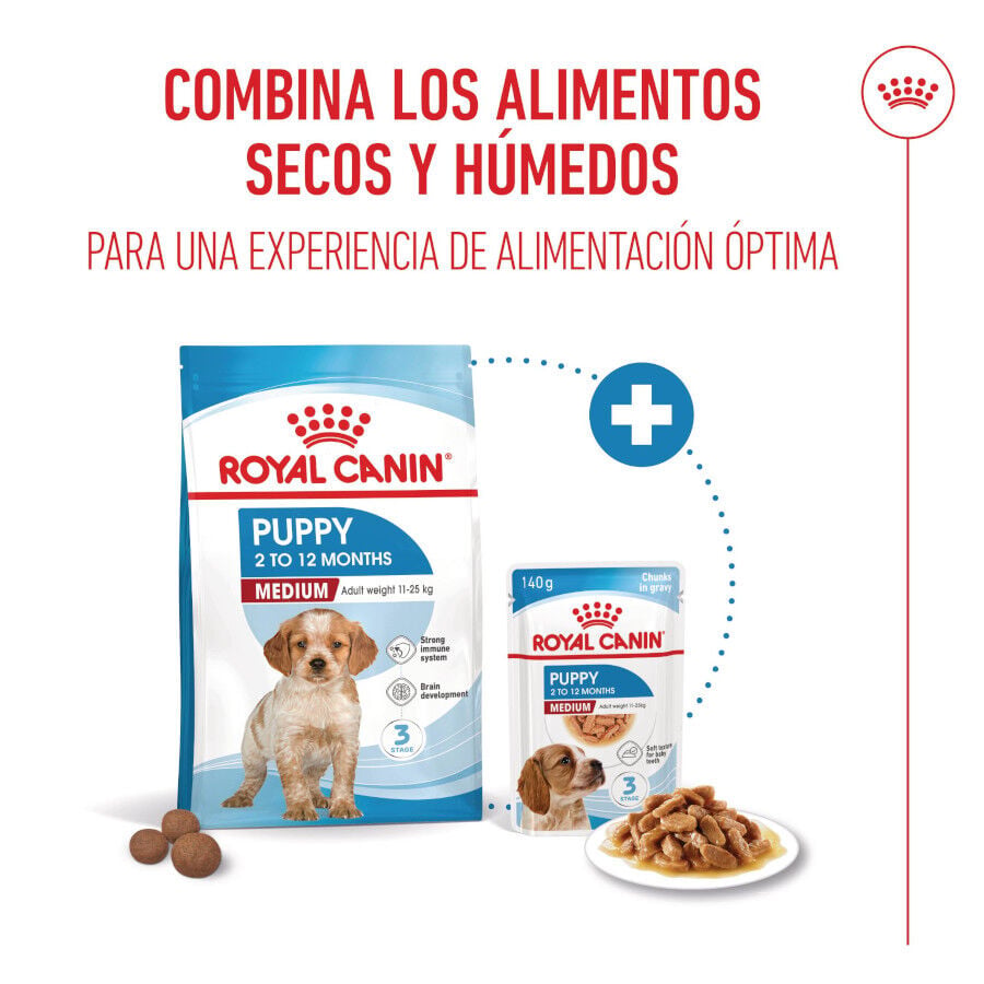 15 kg Royal Canin Puppy Medium pienso para perros&nbsp;, , large Imagen numero 6