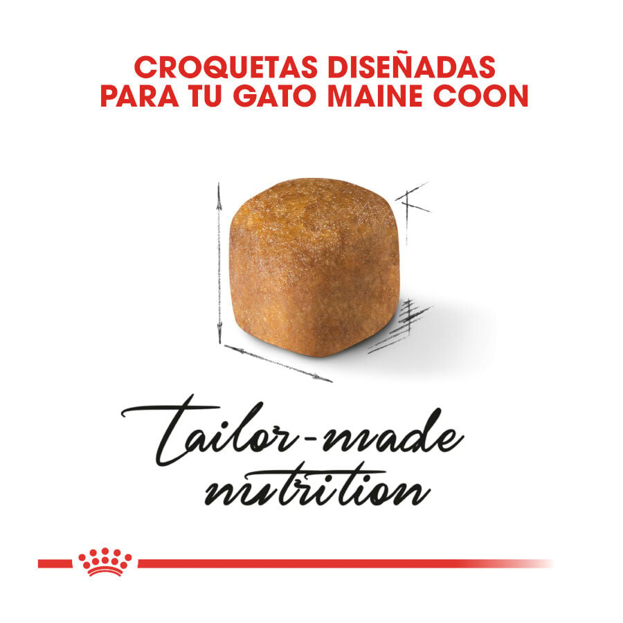 10 kg Royal Canin Kitten Maine Coon pienso para gatos, , large Imagen numero 5