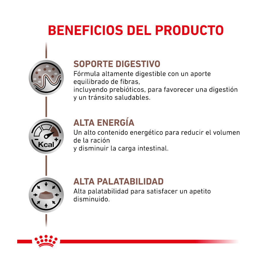 12 sobres x 85 g Royal Canin Veterinary Gastrointestinal sobre en salsa para gatos, , large Imagen numero 4