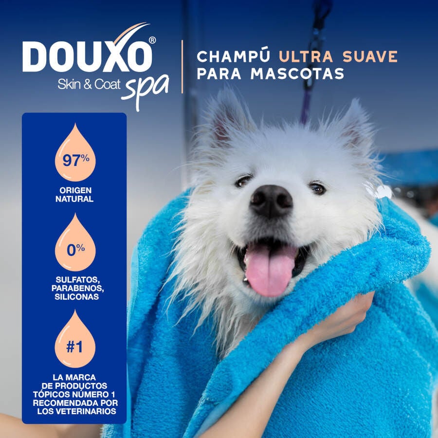 Ceva Douxo Spa Champ&uacute; Control de Muda para perros, , large indicador imagen numero 3