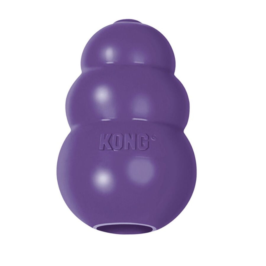 Kong S&eacute;nior mordedor para perros