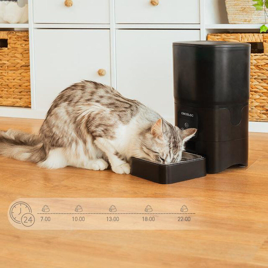 Cecotec Pumba 6000 Purrfect Meal Smart Comedero Autom&aacute;tico para perros y gatos, , large Imagen numero 6