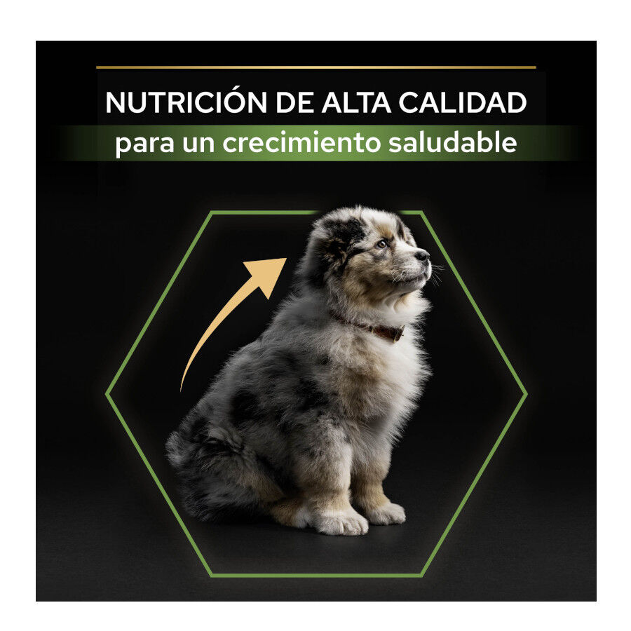14 kg (12 + 2 kg &iexcl;gratis!) Pro Plan Puppy Medium Pollo pienso para perros, , large indicador imagen numero 8