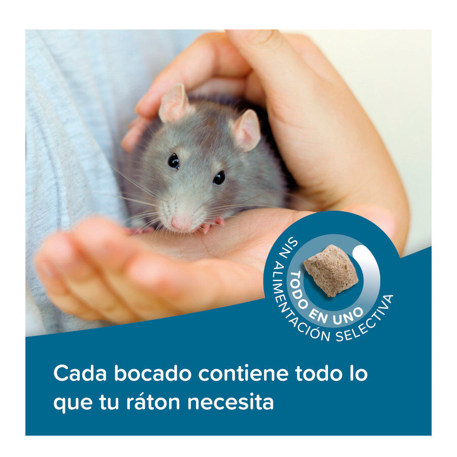 Beaphar Care+ Pienso para ratas, , large Imagen numero 4