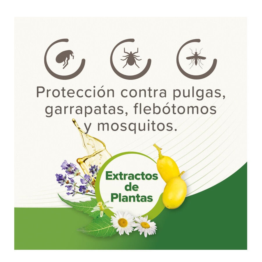 Beaphar Pipetas Repelentes para perros, , large Imagen numero 4
