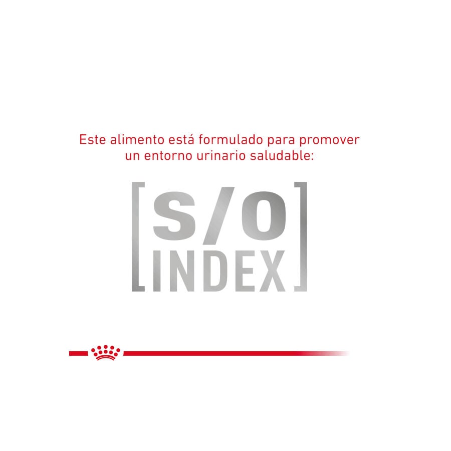 8 kg Royal Canin GastroIntestinal Low Fat pienso para perros peque&ntilde;os, , large indicador imagen numero 5