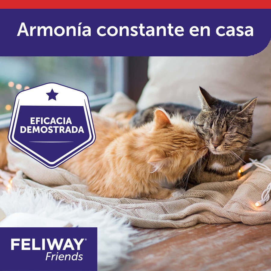 Feliway Friends Difusor para gatos, , large indicador imagen numero 5